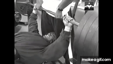 Kevin Levrone Training